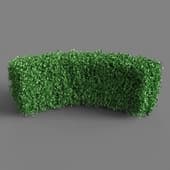 Curved Hedge 2