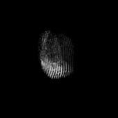 Finger_Print_43