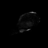 Finger_Print_13