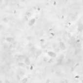 Fingerprint (7)