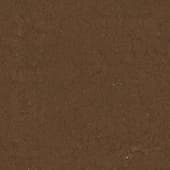 Ground DirtCracked0 02