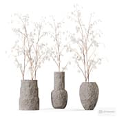 Lunaria set/ Набор с лунариями