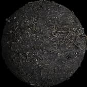 FORESTFLOOR-03