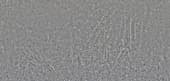 Concrete  043
