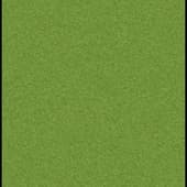 Grass_10