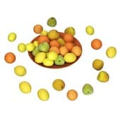 fruit017