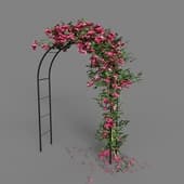 Arch with roses