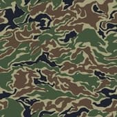 Camouflage_14