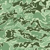 Camouflage_12