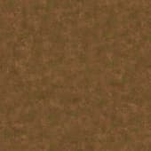 Ground DirtWeedsPatchy0 01