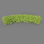 Curved Hedge Long