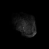 Finger_Print_27