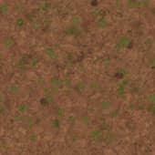 Ground DirtWeedsPatchy0 02