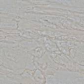 Marble 014