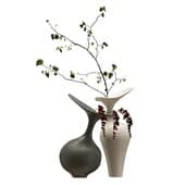 Plant855