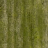 mossy old wood