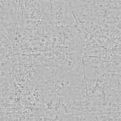 Concrete  042