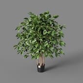 Искусственное растение Undersized Multi Barreled Ficus Benjamina 100 cm