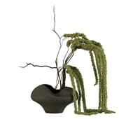 Plant864
