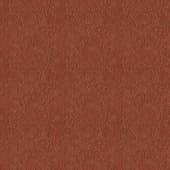 brown  leather 26