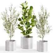 Marlo Wave Decorative Pot