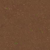 Ground Dirt Tilled002