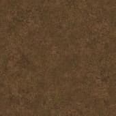 Ground GrassBrown0 01