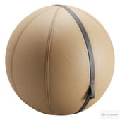 Fitness Ball PENT MESNA