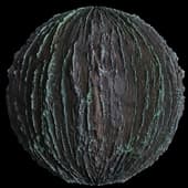 BarkDeciduous005 3K