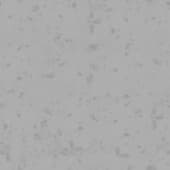 snow  with dry leaves 3