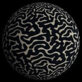 EGG7