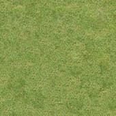 Grass_05