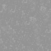 frozen  grass with snow 2