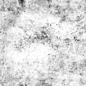 Dirt_16
