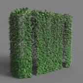 144 hedge v3