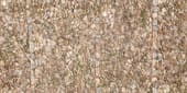 Cobblestone  031
