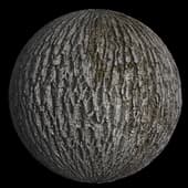 BarkDeciduous009 HIRES