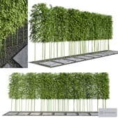 Modern Courtyard 03 | PBR | 4k | Bamboo Path