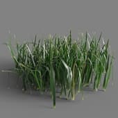 106 simple grass small v1