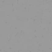 snow  covering grass 16