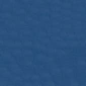 blue  leather 1