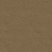 brown  leather 19