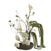 Plant868