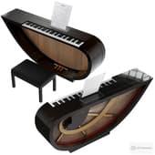 Piano Ravenchord