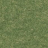 Grass_12