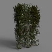 156 hedge v3