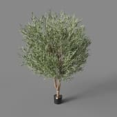 Искусственное дерево G-Forest Olive With Fruits 210 cm