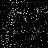Dirt_15