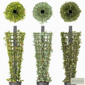 Creeping plant on Metal Column - Vray