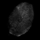 Finger_Print_17